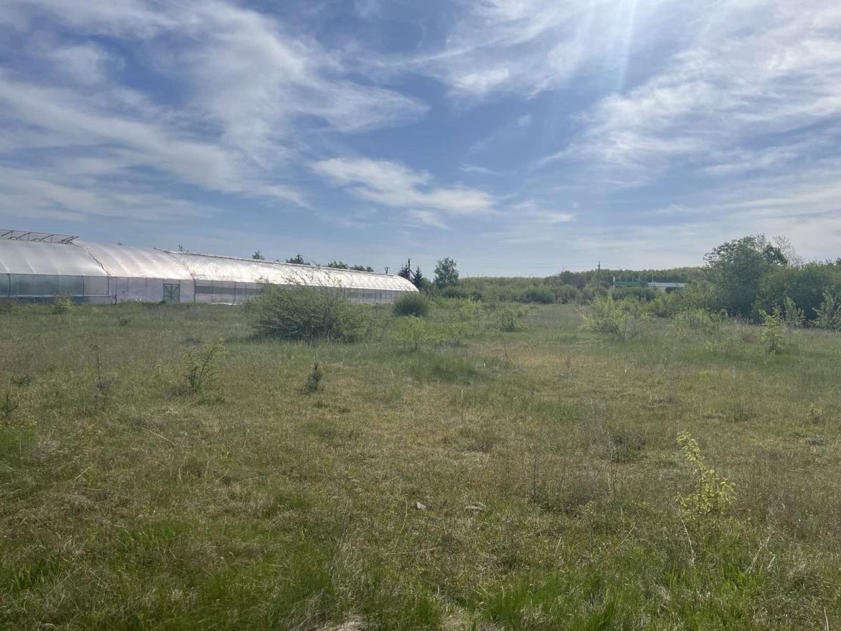 Березівка, Івано-Франківська область, Україна