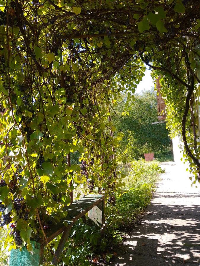 Тлумач, Івано-Франківська область, Україна